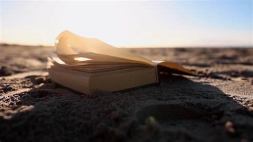 Urdu Novels Videos: Download 36+ Free 4K & HD Stock Footage Clips - Pixabay