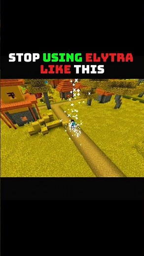 Stop Using Elytras Like THIS! ? #elytra #minecraft