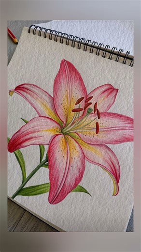 Beautiful flower sketch🌺🌿#pinterest #flowers #drawing #sketch #art