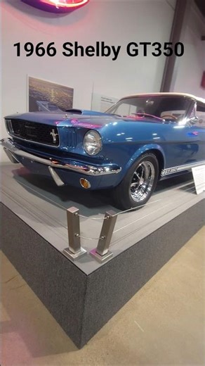 1966 ● Shelby Mustang GT350 ● Convertible