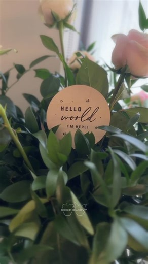 We are back and with big news - Sookie and Enzo’s human sister is here and our 20 pattern crochet book is now available! 🥰😍👶 This book took so much time and I shed so many tears as most of it was completed in the months following Ivy’s unexpected passing, and I’m so excited to finally share it with you all! My goal in 2026 is to have video tutorials completed for each pattern for additional help 🌻😊 Click the link to order (referral link)! https://amzn.to/3Ya4BDu We have been taking things s