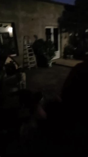 Vero Castro Salsa-Gym on Reels