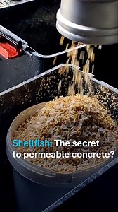 45K views · 1.4K reactions | Researchers have developed a type of concrete that uses #shells to trap water. It's now combating floods and food waste in urban gardens and along cycling paths. | DW Environment | Facebook