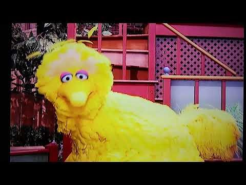 Classic Sesame Street: Episode 4002 [Scene 1]