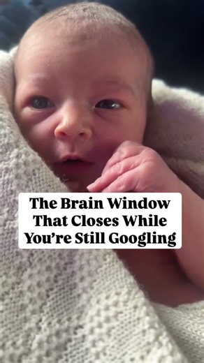 The Harvard Center on the Developing Child found that the brain forms more connections in the first