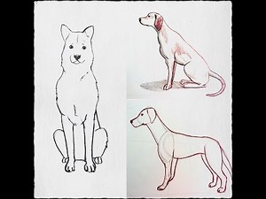 Cómo Dibujar un perro paso a paso PRINCIPIANTE (fácil y rápido)