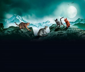 Die Welt der Warrior Cats » Warrior Cats