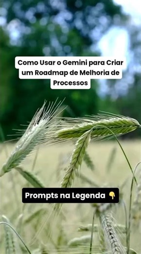 Roadmap de Processos com IA @GuilhermeeBenuto @hypex.cortes #HypexCortes #SkinDeBaladeiraHX
