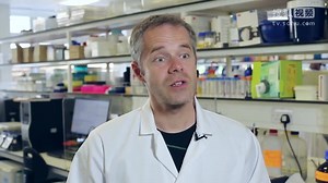 ARM University Program Overview