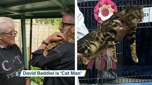 Comedian David Baddiel is opening the nation's eyes to the world of felines, with his new show that argues that cats - not dogs - are a man’s best friend... | Channel 5 News