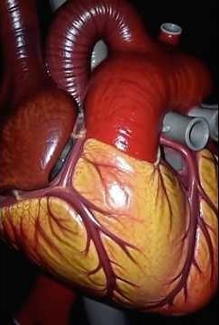 How a Pacemaker Saves Lives ❤️⚡