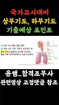 [Key Summary] Structure and Function of the Upper & Lower Airways 🫁 Essential Respiratory Exam To...