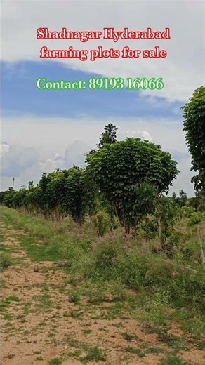 #Shadnagar farming plots for sale #agriculture lands in shadnagar Hyderabad
