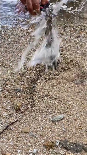 What Is Hiding Under the Sand? 😱 | Amazing Discovery!