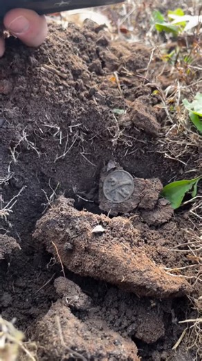 @lostandfoundarchaeology on Instagram: "This was a surreal moment in time with my good friend Mike who invited me to his permission. It is an historic plantation with a rich history ranging from Revolutionary War, Civil War, and now suddenly we have unearthed pieces from WW1. Seen insitu is an WW1 US Army Collar Insignia disc. The crossed rifles represent the Infantry branch of the US Army. The number 3 above indicates the regiment number, which is the 3rd regiment. Furthermore, the “H” stands f