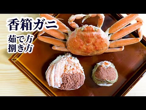 How to eat, boil, and clean kobako-gani crab[seko-gani crab/seiko crab/oya-gani crab]