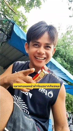 แมวตัดผมทรงหน้าม้าร้องอยากกินขนมด้วยอยากรู้จริงๆว่าใครตัดผมให้🤔😆 #บังเอิญเจอ #funny #comedy