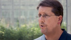 What is the purpose of wetting agent in PRO-MIX growing media? | PRO-MIX Greenhouse Growing | Facebook