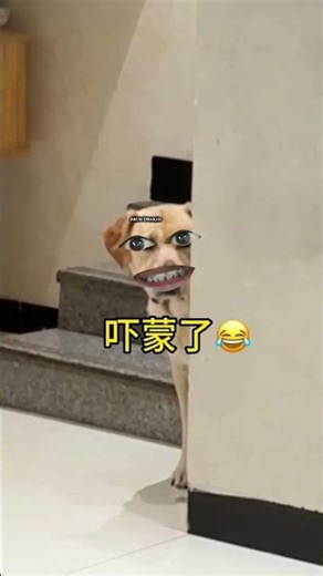 ये मरवाएगा किसी दिन मुझे 🤣😂😁 #funny #viral #shorts