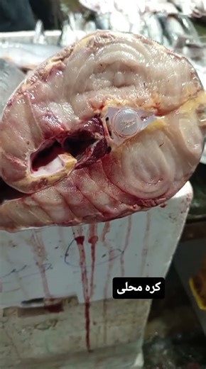 Ozon #fishmarket #fish #fillet #fishcutting #asmrfish #seafood #fishrecipes #fishlover #fishcooking