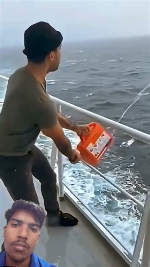 Rocket Line Thrower: Why Shipping Industry Use Rocket Line Thrower? | #RocketLineThrower #Shipping