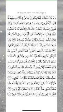 Juz 1 Halaman 6 ( Al Baqarah 30-37 )