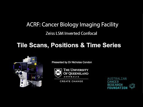 5. Zeiss LSM Confocal - Tiling, Positions & Time Series