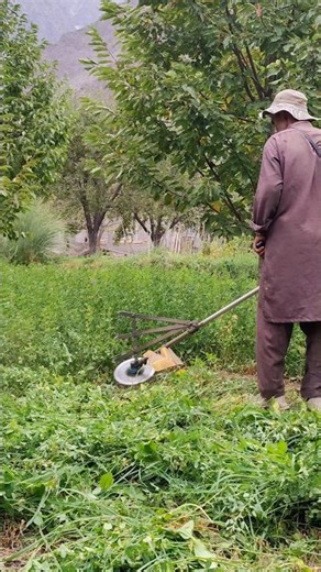 Professional Grass Cutter #grasscutting #gardening #villagelife