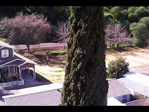 Radio shack 2.4ghz surveyor drone