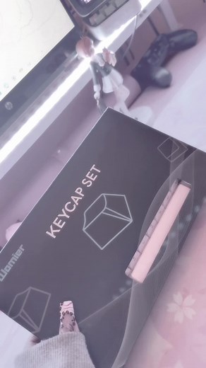 Unboxing Womier Jelly Keycaps for a Cute Setup