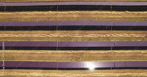 Solar station on agriculture, solar power plants, solar panels farm drone shooting. The best kind of renewable energy - Aerial view