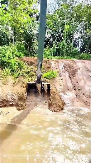 Riverbank Reshaped: The Mechanical Clearing and Contouring of a Waterway's Edge