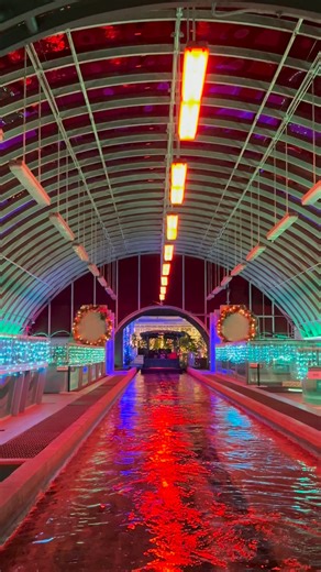 Living of the Land is decorated for Christmas. #Epcot #Christmas ❤️🌲🎁 | Magicparkmemories