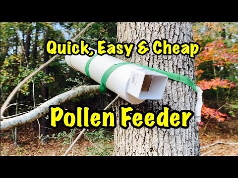 BEEKEEPING - EASY Way to Build POLLEN Feeders for LESS THAN $10