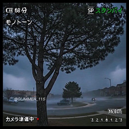 ​SHOCKING Lightning Strike ASMR Destroys Tree in Seconds 🤯 (Raw Power of Nature)