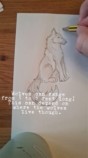 Whooo wolves!! If you have any requests of what i should draw next pls comment! :)