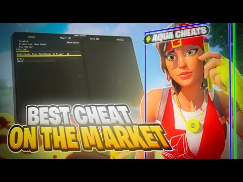 I Installed SAFEST Fortnite Cheats And Had SO Much Fun!