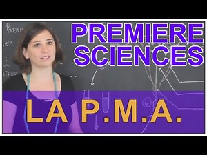 PMA - Sciences - 1ère ES/L - Les Bons Profs