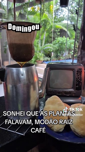 DOMINGOU PROCÊS CAFÉ MODÃO,DASANTIGAS,SONHEI QUE AS PLANTAS FALAVAM #dasantigas #modaoraiz #plantas #boanoite #cafe