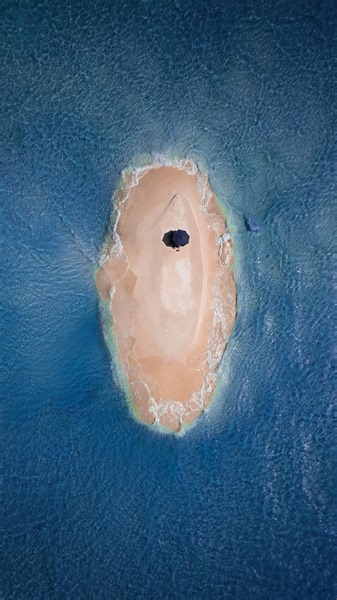 157K views · 4.4K reactions | Testing out the Sony A1 Auto focus  Thank you @ranchopirata.losroques for taking us to this beautiful place in Los Roques. . . . . #photography #camera #lens #sonyalpha #settings #travelphotography | AA.vision | Facebook