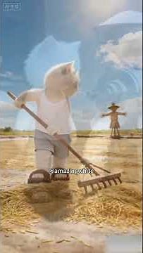 The little cat finally lived a life of plenty through its own efforts.