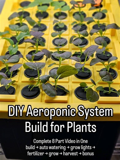 🌱 How to Build a DIY Aeroponic System for Plants (build → grow → harvest) complete video When our original DIY aeroponic build video went viral with over 4 million views, it was shared as a multi-part series. So we decided to combine everything into one complete video so you can see the full process from start to finish. In this video, we walk through: • building the DIY aeroponic system • setting up automated watering • adding grow lights • mixing fertilizer • starting seeds for the system • a