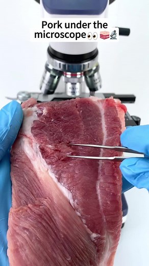 1.6M views · 5.9K reactions | Did you know what it is looks like when it's magnified 400 times? #undermicroscope #microscope #fyp #reelsviralシ #reelsvideo | Micromagic6 | Facebook