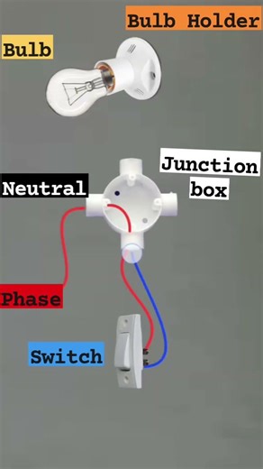 How to Wire a Light Bulb to a Single Switch #electrician #electrical #electricalengineering