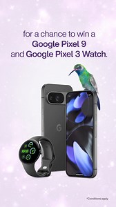 Get a chance to win a Google Pixel 9 and Google Pixel Watch 3 when you sign up for updates on TELUS PureFibre in your neighbourhood. | TELUS