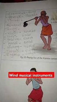 Wind musical instruments