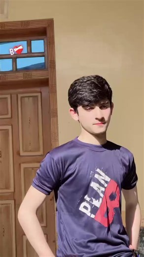 Popular Pakistani TikTok Songs and Their Impact