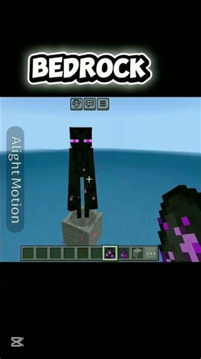 wait for end java and bedrock #minecraft #viralshort