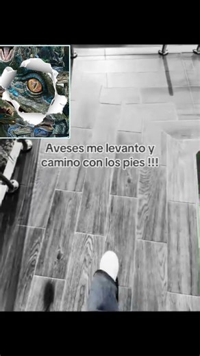 #humor #parati