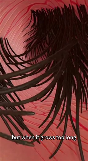 Embarrassed by visible nose hair? Try the new nose hair trimmer and say goodbye to the unkempt#wpbb #nosehair #nosehairtrimmer #hairtrimme #menscareroutine